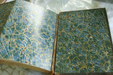 SOLD RARE Antique Book from the Library of Natural History by Richard Lydekker from 1901: "Starfish, Snails, Crinoids, & more" (Leather Bound with Gold Leaf Edges) THE RIVERSIDE PUBLISHING COMPANY, 1901 CHICAGO VOLUME IN GREAT CONDITION