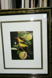 Professionally Triple Matted & in Hand-painted Frame 22" x 19" Rare Authentic Limited Edition 1960 Descourtilz Plate of Tropical Jamaica Oriole or Carouge Jamacaii Bird from Brazil. DES7