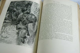 SOLD VERY RARE Antique Book from the Library of Natural History by Richard Lydekker from 1901: " Mammals" WHALES  SLOTHS PANGOLINS KOALAS KANGAROOS (Leather Bound with Gold Leaf Edges) RIVERSIDE PUBLISHING COMPANY, 1901 CHICAGO