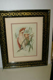 UNIQUE 24"X 19” 1955 GOULD TROGON TEMNURUS BIRD FOLIO LITHOGRAPH FRAMED IN SIGNED ARTIST HAND PAINTED FRAME WITH 4 MATS TO ENHANCE THE ART WITHIN GORGEOUS DFPN83B DESIGNER WALL ART DÉCOR