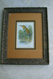FROM CASSELL BOOK OF BIRDS FROM 1869 ANTIQUE ORIGINAL H.C  LITHOGRAPH "EUROPEAN BEE EATER OR MEROPS APLASTER” 19TH CENTURY PRINT PROFESSIONALLY TRIPLE-MATTED AND FRAMED PURPOSELY IN ANTIQUE FRAME COLLECTOR DECOR