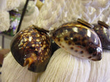 4 Varied Seashell Tassels Curtain Holdbacks: Trochus Cowry Tree Snail and Tun Shells Oceanic Art, South Pacific Home Decor Accent, Handcrafted Unique perfect for Designer Decorator Shell Collector Stunning Beach Lover Pool Cabana Look