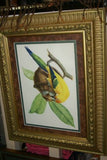 VERY RARE 1960 Rare Descourtilz Limited Edition Original Folio Lithograph Brazilian Bird Plate 15 Spot-Tailed Jacamar or Jacamar Dore