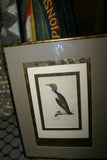 OVER 160 YEARS OLD ORIGINAL ANTIQUE H.C. HAND COLORED WOOD ENGRAVING FROM 1860 MORRIS BIRDS RINGED GUILLEMOT PENGUIN MATTED PROFESSIONALLY WITH 4 HIGH QUALITY ACID FREE MATS & CUSTOM FRAMED IN HANDPAINTED SIGNED FRAME