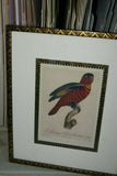 Barraband Archival Art Limited Edition 94/950 Folio Lithograph Printed on the highest archival quality heavy woven stock available, in hand painted mats (3) & HP. signed Frame: Lori Parrot  24 ½” X 20”