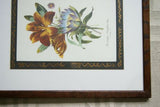SIGNED DETAILED ARTIST HAND PAINTED FRAME MATS REDOUTE PRINT RE8 WATERLILY LIS