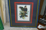 1978 AUSTRALIAN BIRD LITHOGRAPH FROM “PARROTS OF THE WORLD” BY BILL COOPER PROFESSIONALLY (X5) HAND PAINTED MATS AND FRAMED IN UNIQUE SIGNED HAND PAINTED FRAME 27" X 22,5" BEAUTIFUL DESIGNER WALL ART DÉCOR DFPO74