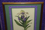 Lindenia Limited Edition Print: Habenaria Susannae (White) Orchid Collector Art (B4)