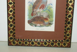 19th Century Partridge ANTIQUE AUTHENTIC 1897 ORIGINAL PRINT from LLOYD'S NATURAL HISTORY BY BOWDLER SHARPE EDWARD LLOYD LIMITED, MATTED AND FRAMED PROFESSIONALLY IN UNIQUE HAND PAINTED FRAME SIGNED BY ARTIST.