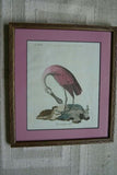 19th Century Partridge ANTIQUE AUTHENTIC 1897 ORIGINAL PRINT from LLOYD'S NATURAL HISTORY BY BOWDLER SHARPE EDWARD LLOYD LIMITED, MATTED AND FRAMED PROFESSIONALLY IN UNIQUE HAND PAINTED FRAME SIGNED BY ARTIST.