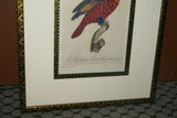 Barraband Archival Art Limited Edition 94/950 Folio Lithograph Printed on the highest archival quality heavy woven stock available, in hand painted mats (3) & HP. signed Frame: Lori Parrot  24 ½” X 20”