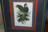 1978 AUSTRALIAN BIRD LITHOGRAPH FROM “PARROTS OF THE WORLD” BY BILL COOPER PROFESSIONALLY (X5) HAND PAINTED MATS AND FRAMED IN UNIQUE SIGNED HAND PAINTED FRAME 27" X 22,5" BEAUTIFUL DESIGNER WALL ART DÉCOR DFPO74