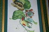 Professionally Matted & Framed in Hand-painted Frame 19”x 15” VERY RARE Authentic Limited Edition 1960 Descourtilz Folio of Tropical Orange-Breasted Barbet or Cabezon Elegant Bird Plate 13 from Brazil (DES12)