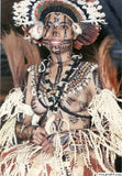 Unique, Rare 3-Tier Sing-Sing Festival Pristine Nassa Shells & Seed Beads Bilas Pectoral Adornment, Necklace Ornament from the Highlands of Papua New Guinea, NECK5, collected in late 1900’s.