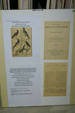 AUTHENTIC ANTIQUE 1839, H.C ORIGINAL HAND COLORING, ENGRAVING FROM BARON CUVIER ANIMAL KINGDOM  BIRDS OF PREY,  Edinburgh journal of Natural History  IN A HAND PAINTED SIGNED CUSTOM FRAME, ALSO MATTED PROFESSIONALLY WITH 6 HIGH QUALITY ACID FREE MATS