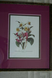 2 Professionally Framed Limited Edition Redoute bouquet Prints Home Designer Art