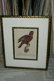 Barraband Archival Art Limited Edition 94/950 Folio Lithograph Printed on the highest archival quality heavy woven stock available, in hand painted mats (3) & HP. signed Frame: Lori Parrot  24 ½” X 20”