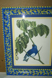 Professionally 2x Matted & in Hand-painted Frame 16 1/2" X 12 1/2" VERY RARE Authentic Limited Edition 1960 Descourtilz Folio of Hand-colored Tersine Bleue Bird Plate 12 from Brazil (DES17)