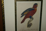 Barraband Archival Art Limited Edition 94/950 Folio Lithograph Printed on the highest archival quality heavy woven stock available, in hand painted mats (3) & HP. signed Frame: Lori Parrot  24 ½” X 20”