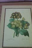 4 Double Matted Redoute Floral & Angel Art Prints 120.00 retail value Wall Decor