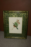 VERY RARE 1960 Rare Descourtilz Limited Edition Original Folio Lithograph Brazilian Bird Plate 59 Swainson's Royal Flycatcher or Platyrhynque Couronne
