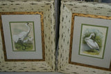 ORIGINAL ANTIQUE 1878 FOLIO PLATE FROM JACOB H. STUDER'S POPULAR ORNITHOLOGY, "THE BIRDS OF NORTH AMERICA" 1878 ILLUSTRATED FROM LIFE BY THEODORE JASPER.  CHOOSE EGRET OR PELICAN OR BOTH Professionally framed in custom frames with 2 acid free mats