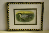 19th century TERN ANTIQUE AUTHENTIC 1897 ORIGINAL PRINT LLOYD'S NATURAL HISTORY BY BOWDLER SHARPE EDWARD LLOYD LIMITED, DOUBLE MATTED AND FRAMED PROFESSIONALLY IN UNIQUE HAND PAINTED FRAME SIGNED BY ARTIST, MAT ALSO HANDPAINTED