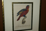 Barraband Archival Art Limited Edition 94/950 Folio Lithograph Printed on the highest archival quality heavy woven stock available, in hand painted mats (3) & HP. signed Frame: Lori Parrot  24 ½” X 20”