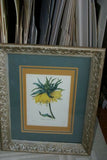 Framed Limited Edition Art Redoute Fritilaire Imperiale Print Home Wall Design