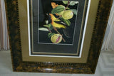 Professionally 5x Matted & in Hand-painted Frame 24" x 20" VERY RARE Authentic Limited Edition 1960 Descourtilz Plate of Tropical Jamaica Oriole or Carouge Jamacaii Bird from Brazil. DES14