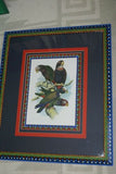1978 AUSTRALIAN BIRD LITHOGRAPH FROM “PARROTS OF THE WORLD” BY BILL COOPER PROFESSIONALLY (X5) HAND PAINTED MATS AND FRAMED IN UNIQUE SIGNED HAND PAINTED FRAME 27" X 22,5" BEAUTIFUL DESIGNER WALL ART DÉCOR DFPO74