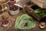CHOICE BETWEEN 2 Vintage Timor Ethnic Authentic Tribal Lime Containers (used during Betel Habit): Hand Carved Buffalo Bone receptacles with hand etched Scrimshaw motifs, Hand Carved Ebony Wood Lids, Frog  or Turtle motifs: BN5A & BN5B