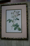 SIGNED UNIQUE DETAILED ARTIST HANDPAINTED FRAME MATTED REDOUTE PRINT ROSES RE6