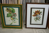 SIGNED DETAILED ARTIST HAND PAINTED FRAME MATS REDOUTE PRINT RE8 WATERLILY LIS