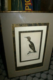 OVER 160 YEARS OLD ORIGINAL ANTIQUE H.C. HAND COLORED WOOD ENGRAVING FROM 1860 MORRIS BIRDS RINGED GUILLEMOT PENGUIN MATTED PROFESSIONALLY WITH 4 HIGH QUALITY ACID FREE MATS & CUSTOM FRAMED IN HANDPAINTED SIGNED FRAME