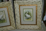 ORIGINAL ANTIQUE 1878 FOLIO PLATE FROM JACOB H. STUDER'S POPULAR ORNITHOLOGY, "THE BIRDS OF NORTH AMERICA" 1878 ILLUSTRATED FROM LIFE BY THEODORE JASPER.  CHOOSE EGRET OR PELICAN OR BOTH Professionally framed in custom frames with 2 acid free mats