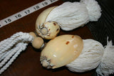 2 Pairs of very large Banded Tun Tonna Sulcosa Seashell Tassels, Pulls, Oceanic Art, South Pacific Home Decor Accent, Handcrafted Unique perfect for Designer Decorator Shell Collector Beach Lover Vacation Feel Pool Cabana