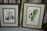 SIGNED UNIQUE DETAILED ARTIST HAND PAINTED FRAME MATTED REDOUTE PRINT RE10 PEONY