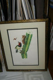 Professionally Double Matted & Framed in Hand-painted Frame 24”x 19” VERY RARE Authentic Limited Edition 1960 Descourtilz Folio of Tropical Black-Spotted Barbet or Cabezon a Plastron Noir Bird Plate 11 from Brazil (DES15)