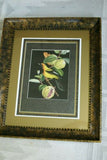 Professionally 5x Matted & in Hand-painted Frame 24" x 20" VERY RARE Authentic Limited Edition 1960 Descourtilz Plate of Tropical Jamaica Oriole or Carouge Jamacaii Bird from Brazil. DES14