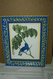 Professionally 2x Matted & in Hand-painted Frame 16 1/2" X 12 1/2" VERY RARE Authentic Limited Edition 1960 Descourtilz Folio of Hand-colored Tersine Bleue Bird Plate 12 from Brazil (DES17)