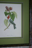 Professionally Triple Matted & in Hand-painted Frame 25.5" X 21" VERY RARE Authentic Limited Edition 1960 Descourtilz Folio Tropical Crested Cardinal or Fringille Paroare, Bird Plate 41 from Brazil (DES10)