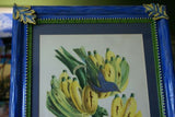 Professionally Matted & Framed in Hand-painted Frame 23”x 16” VERY RARE Authentic Limited Edition 1960 Descourtilz Folio of Tropical Archbishop Tanager or Tachyphone Archeveque Bird Plate 35 from Brazil (DES13)