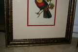 VERY RARE & FRAMED Descourtilz Limited Edition Original 1960 Folio Lithograph of TOUCAN (DES8) Framed Professionally in Very Large Hand-painted Frame 33" X 26,5"