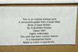 19th Century Partridge ANTIQUE AUTHENTIC 1897 ORIGINAL PRINT from LLOYD'S NATURAL HISTORY BY BOWDLER SHARPE EDWARD LLOYD LIMITED, MATTED AND FRAMED PROFESSIONALLY IN UNIQUE HAND PAINTED FRAME SIGNED BY ARTIST.