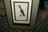 OVER 160 YEARS OLD ORIGINAL ANTIQUE H.C. HAND COLORED WOOD ENGRAVING FROM 1860 MORRIS BIRDS RINGED GUILLEMOT PENGUIN MATTED PROFESSIONALLY WITH 4 HIGH QUALITY ACID FREE MATS & CUSTOM FRAMED IN HANDPAINTED SIGNED FRAME