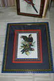 1978 AUSTRALIAN BIRD LITHOGRAPH FROM “PARROTS OF THE WORLD” BY BILL COOPER PROFESSIONALLY (X5) HAND PAINTED MATS AND FRAMED IN UNIQUE SIGNED HAND PAINTED FRAME 27" X 22,5" BEAUTIFUL DESIGNER WALL ART DÉCOR DFPO74