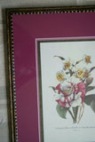2 Professionally Framed Limited Edition Redoute bouquet Prints Home Designer Art