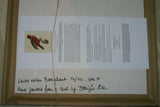 Barraband Archival Art Limited Edition 94/950 Folio Lithograph Printed on the highest archival quality heavy woven stock available, in hand painted mats (3) & HP. signed Frame: Lori Parrot  24 ½” X 20”