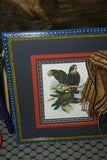 1978 AUSTRALIAN BIRD LITHOGRAPH FROM “PARROTS OF THE WORLD” BY BILL COOPER PROFESSIONALLY (X5) HAND PAINTED MATS AND FRAMED IN UNIQUE SIGNED HAND PAINTED FRAME 27" X 22,5" BEAUTIFUL DESIGNER WALL ART DÉCOR DFPO74